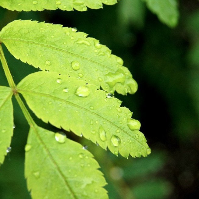 Mynd: Esther Ösp Gunnarsdóttir