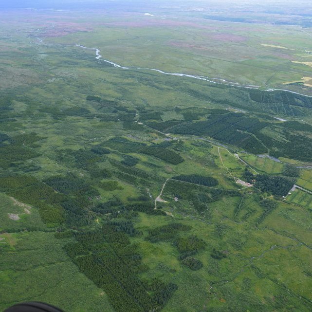 Veruleg breyting hefur orðið á gróðri í Haukadalslandi frá því að Skógræktin hóf þar uppgræðslu og skógrækt fyrir 85 árum. Náttúrleg útbreiðsla birkis er þar líka mikil eins og annars staðar þar sem land er tekið til skógræktar. Myndataka:  Daði Björnsson/Loftmyndir ehf.. Ljósmynd: Daði Björnsson/Loftmyndir ehf.