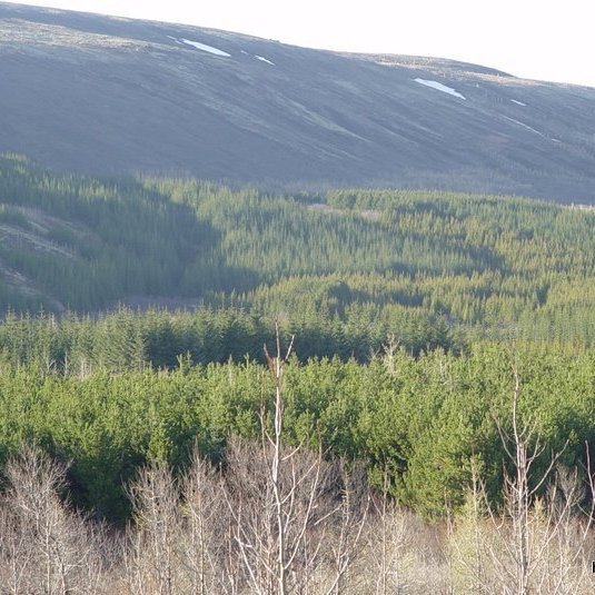 (mynd: Hreinn Óskarsson)