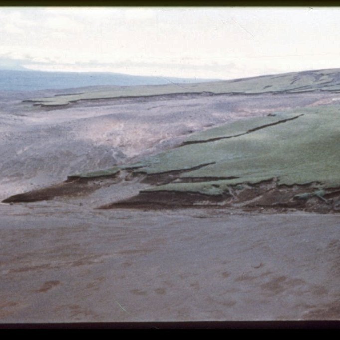 Þessi mynd úr safni Hákonar Bjarnasonar sýnir vel mörk gróins lands og blásins í landi Haukadals. Friðunin ein hafði mikið að segja um að eyðingin var stöðvuð en með öflugri uppgræðslu og skógrækt hefur ástand landsins gjörbreyst. Ljósmynd: Úr safni Hákonar Bjarnasonar
