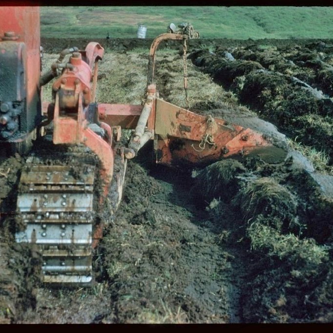 Framræstar mýrar í Haukadalslandi voru á sínum tíma plægðar með jarðýtu og skerpiplóg eins og hér sést. Gróðursett var ofan á plógstrengina. Úr safni Hákonar Bjarnasonar.