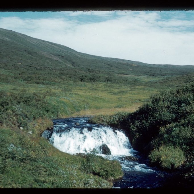 Ljósmynd: Hákon Bjarnason