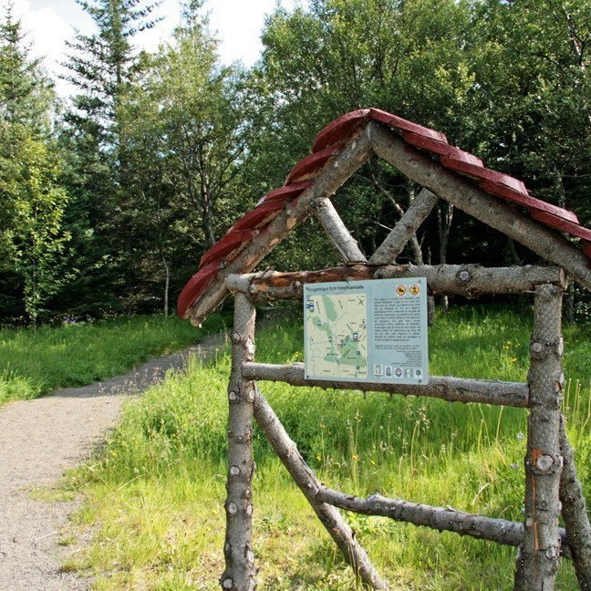 (mynd: Esther Ösp Gunnarsdóttir)