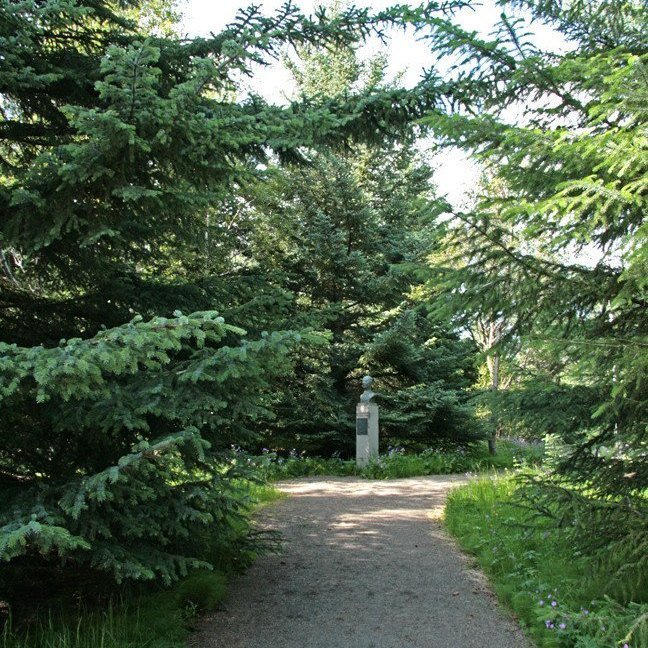 (mynd: Esther Ösp Gunnarsdóttir)