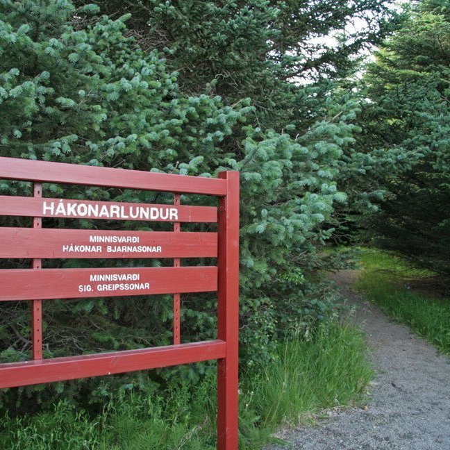 Til minningar um Hákon Bjarnason.
(mynd: Esther Ösp Gunnarsdóttir)