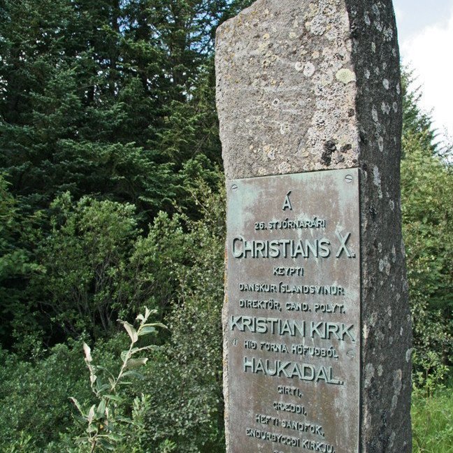 (mynd: Esther Ösp Gunnarsdóttir)