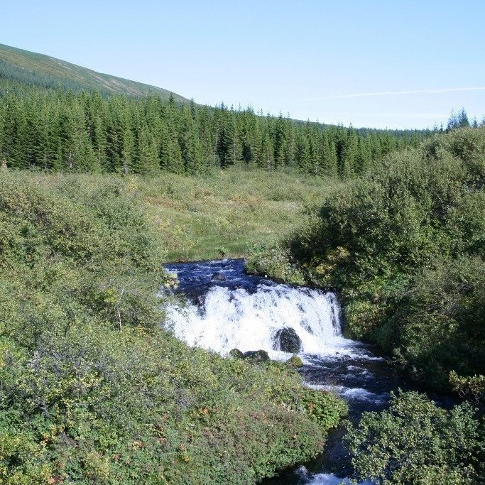 Ljósmynd: Hreinn Óskarsson