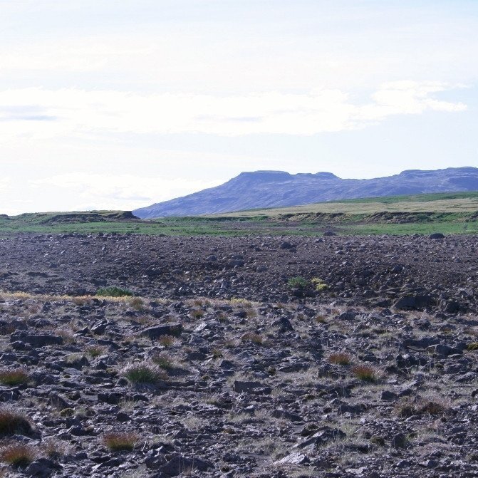Ekki vantar grjótið á Haukadalsheiði. Í fjarska sést hversu þykk jarðvegshulan var á þessum slóðum. Ljósmynd: Hreinn Óskarsson