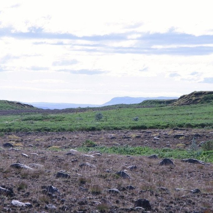 Hér má búast við að ásýnd landsins breytist mikið á næstu árum og áratugum. Þarna eiga margir sem nú lifa eftir að standa í birkiskógi. Ljósmynd: Hreinn Óskarsson