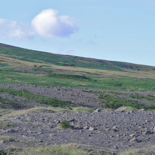 Eins og Hákon Bjarnason lýsir í viðtalinu 1960 hafði friðunin ein ótrúleg áhrif á uppblástursgeirana. Síðan hefur landið verið í framför. Ljósmynd: Hreinn Óskarsson