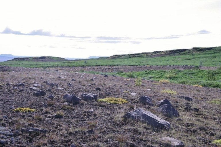 Rofabörðin standa eftir sem minnisvarði um eyðinguna sem geisaði allt þar til landið var friðað og uppgræðslan hófst. Lúpína og grös hafa bundið foksandinn og smám saman fjölgar öðrum tegundum, birki og víðir vex upp og landið fær á sig heilbrigðari svip.