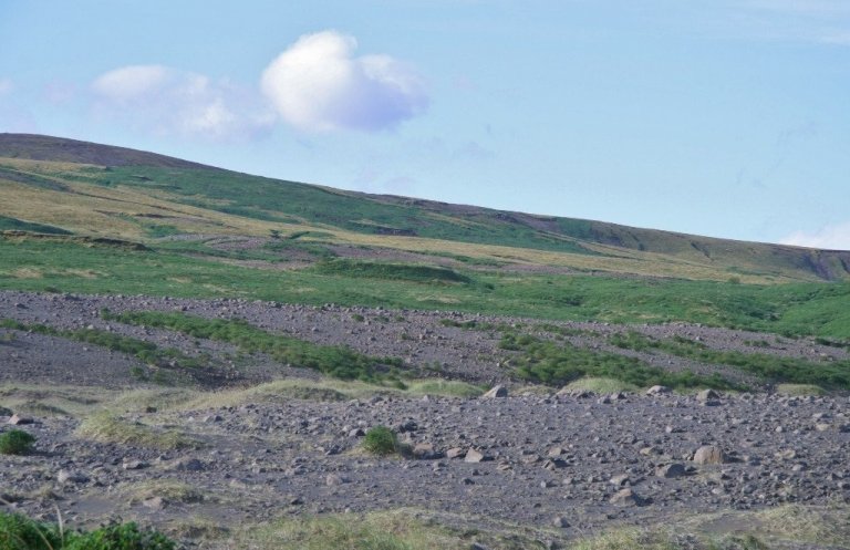 Eins og Hákon Bjarnason lýsir í viðtalinu 1960 hafði friðunin ein ótrúleg áhrif á uppblástursgeirana. Síðan hefur landið verið í framför.