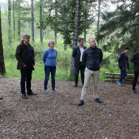 Í trjásafninu í Mörkinni á Hallormsstað þar sem elstu gróðursettu tré skógarins standa. Ljósmynd: Pétur Halldórsson