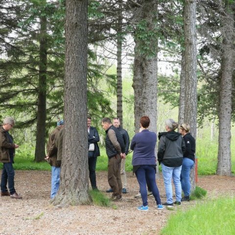  Ljósmynd: Pétur Halldórsson