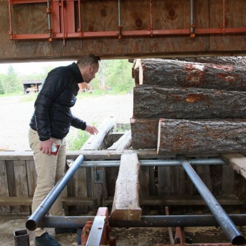 Ráðherra skoðar myndarlega lerkiboli sem bíða flettingar.  Ljósmynd: Pétur Halldórsson