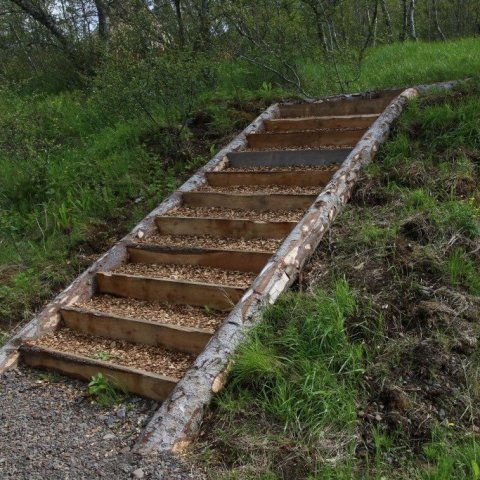 Þennan stiga smíðuðu starfsmenn Skógræktarinnar á gönguleiðinni að tjaldinu í skóginum. Stiginn er að sjálfsögðu úr efni úr skóginum og í þrepunum er trjákurl. Ljósmynd: Pétur Halldórsson