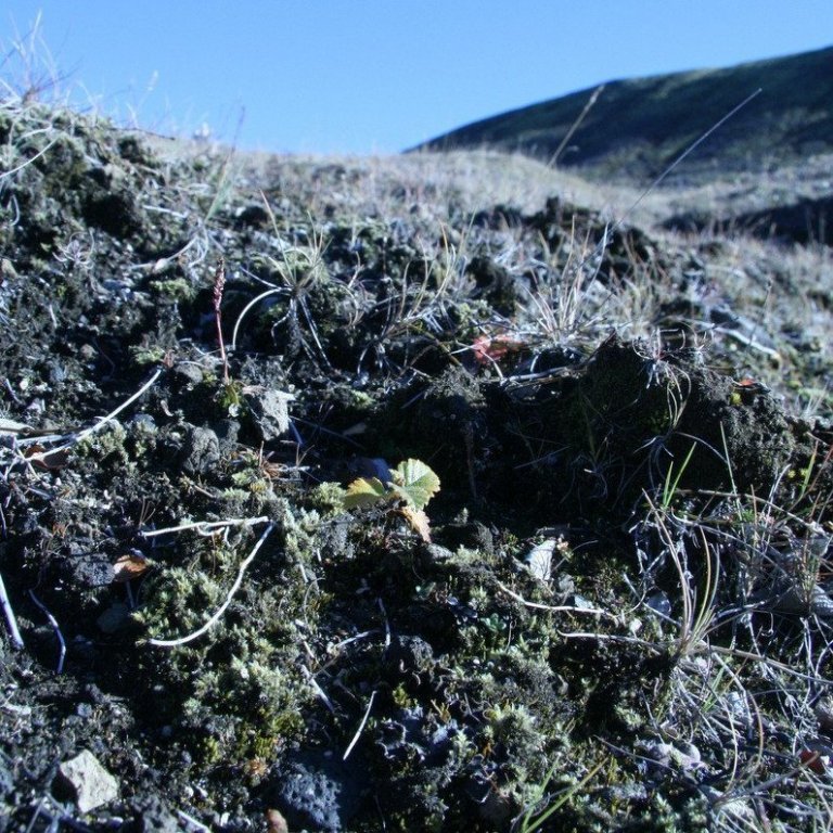 September 2016. Ljósmynd: Hreinn Óskarsson