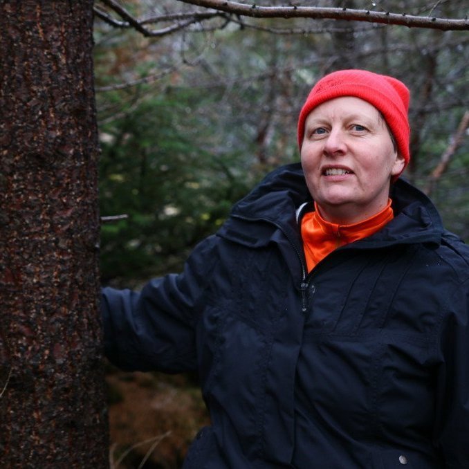 Valgerður Jónsdóttir, verkefnastjóri endurnýjunarefnis hjá Skógræktinni, hefur yfirumsjón með framleiðslu hrymfræs. Hér stendur hún við stæltan stofn Hryms á Mógilsá í mars 2017. Mynd: Pétur Halldórsson. 