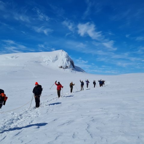 Sigurreifir skógræktarmenn á heimleið. Ljósmynd: Elísabet Atladóttir