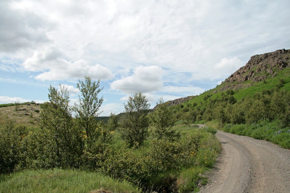 Í Jafnaskarðsskógi.