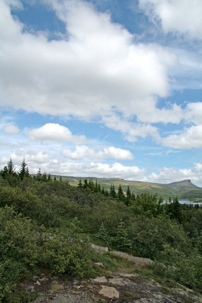 Jafnaskarðsskógur