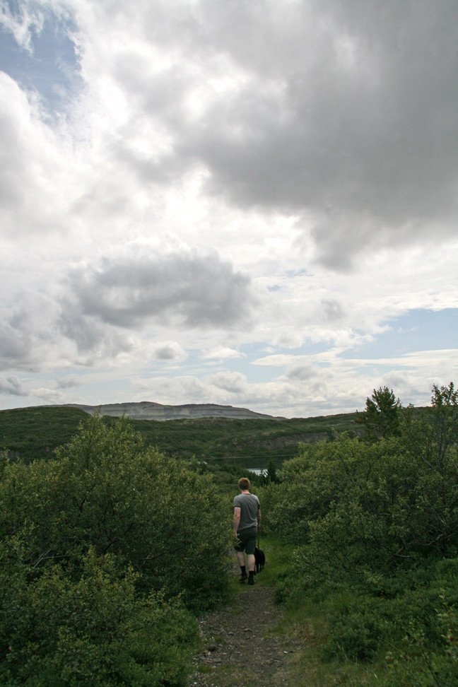 Gengið um Jafnaskarðsskóg.