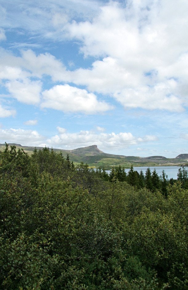 Jafnaskarðsskógur