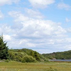 (Mynd: Esther Ösp Gunnarsdóttir)