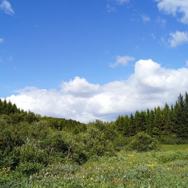 (Mynd: Esther Ösp Gunnarsdóttir)