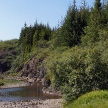 Mynd: Esther Ösp Gunnarsdóttir