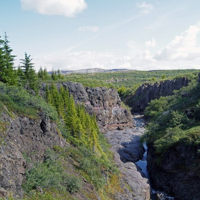 (Mynd: Esther Ösp Gunnarsdóttir)