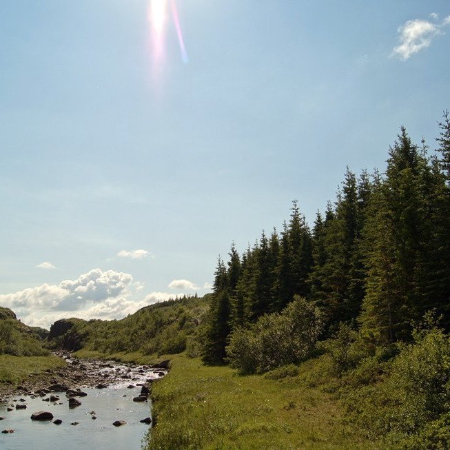 (Mynd: Esther Ösp Gunnarsdóttir)
