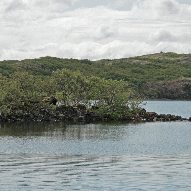 (mynd: Esther Ösp Gunnarsdóttir)