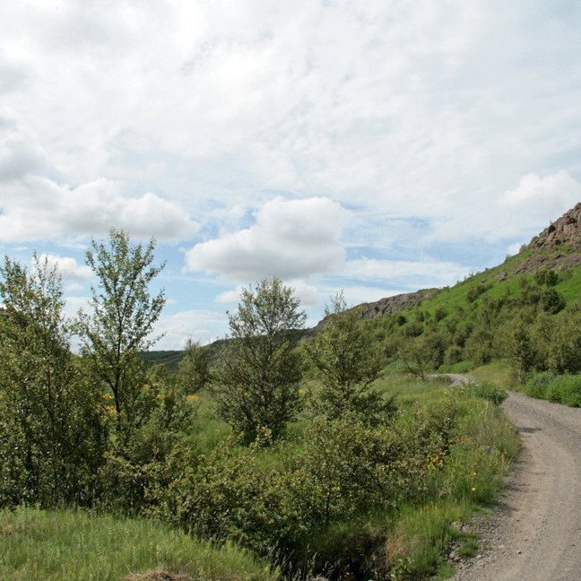 (mynd: Esther Ösp Gunnarsdóttir)