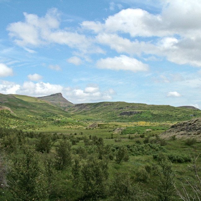 (mynd: Esther Ösp Gunnarsdóttir)