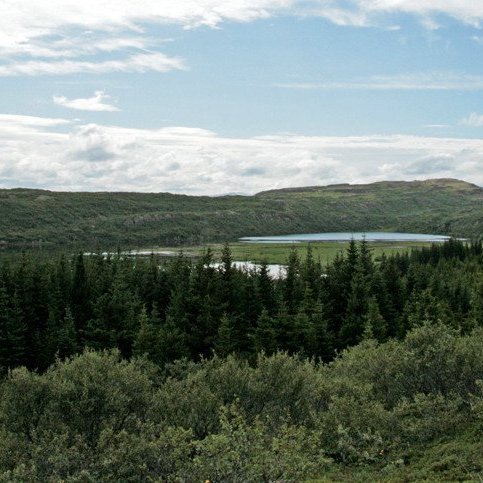 (mynd: Esther Ösp Gunnarsdóttir)