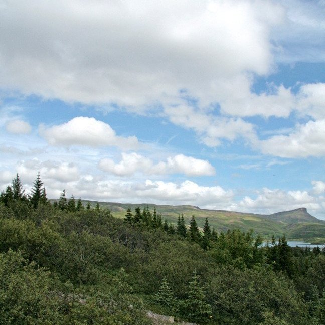 (mynd: Esther Ösp Gunnarsdóttir)