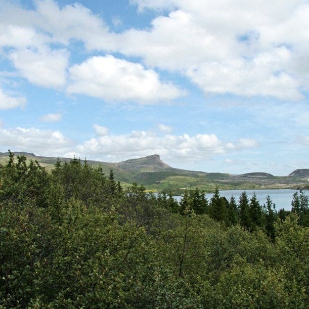 (mynd: Esther Ösp Gunnarsdóttir)