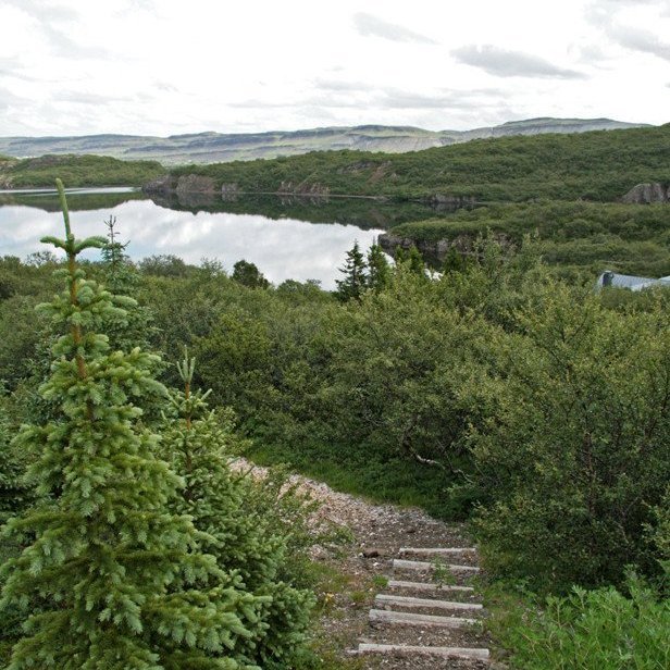 (mynd: Esther Ösp Gunnarsdóttir)