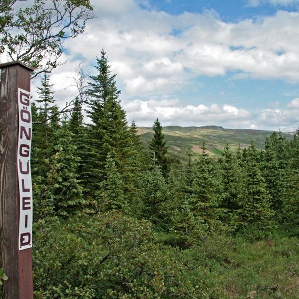 (mynd: Esther Ösp Gunnarsdóttir)