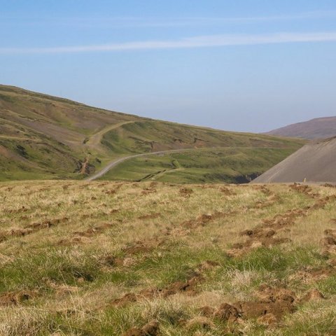 Nýtt jarðunnið svæði á Jökuldal. Án jarðvinnslu væri skógrækt erfið eða ógerleg í svo grasgefnu landi. Ljósmynd: Pétur Halldórsson