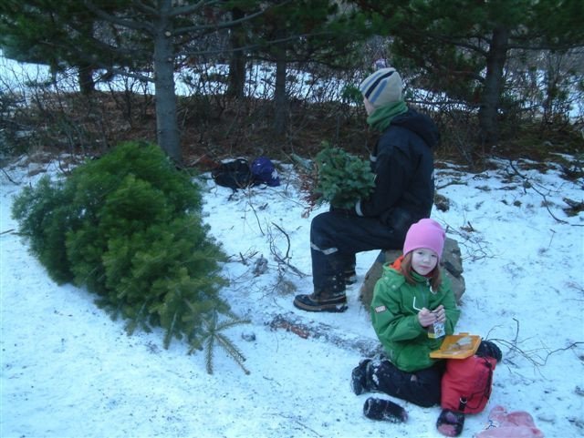 Jólaferð í Þjóðskóginn í Þjórsárdal 2009
