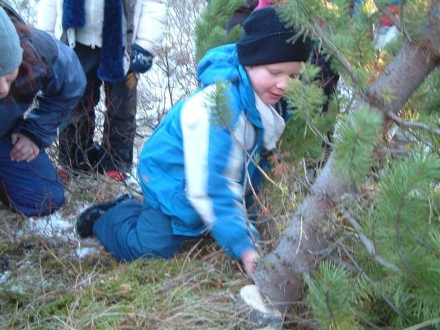 Jólaferð í Þjóðskóginn í Þjórsárdal 2009