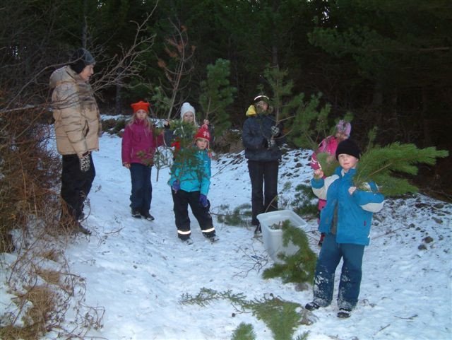 Jólaferð í Þjóðskóginn í Þjórsárdal 2009