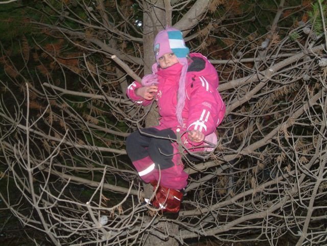 Jólaferð í Þjóðskóginn í Þjórsárdal 2009