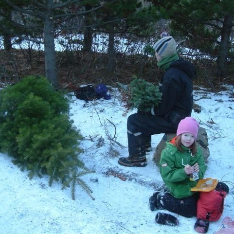 (mynd: Ólafur Oddsson)