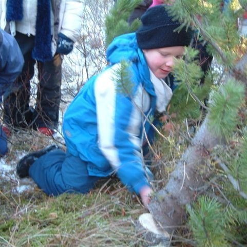 (mynd: Ólafur Oddsson)