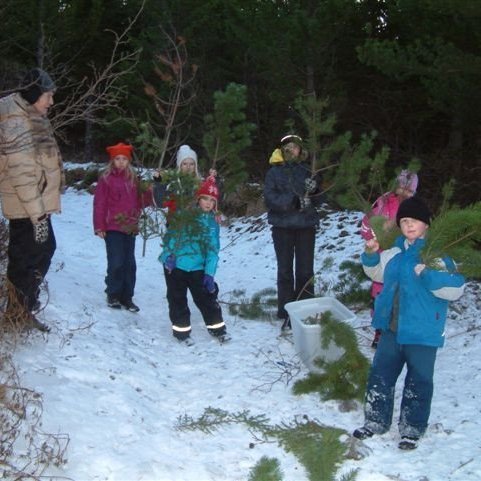 (mynd: Ólafur Oddsson)