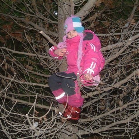 (mynd: Ólafur Oddsson)