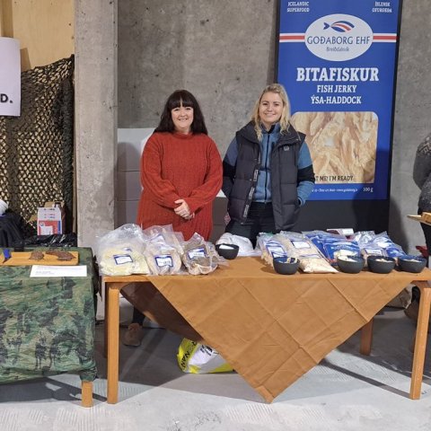 Jólakötturinn 2023-2. Ljósmynd: Þór Þorfinnsson